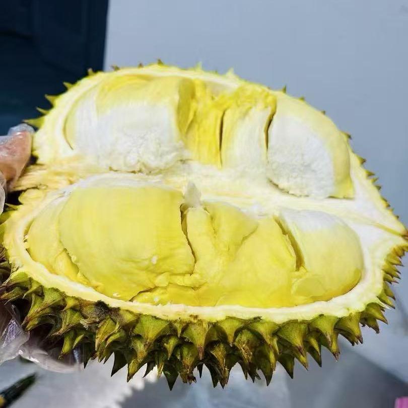 欢乐买批发市场-果粒橙果业