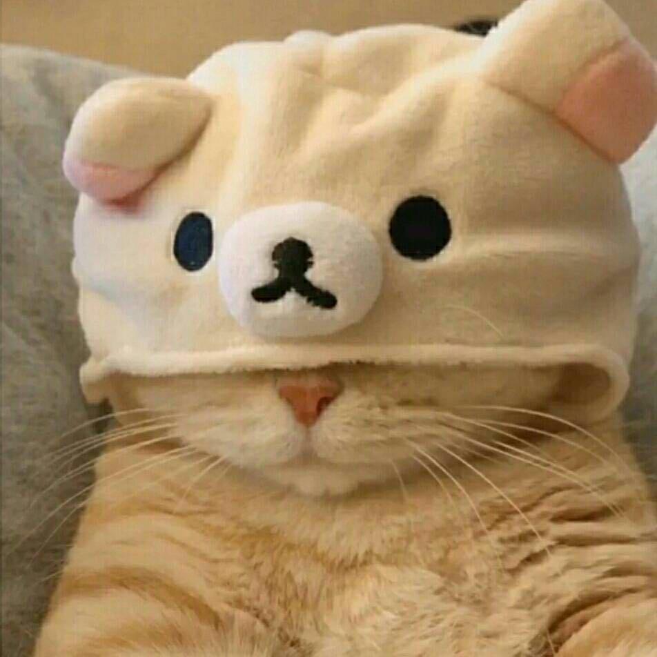 好物小赖家