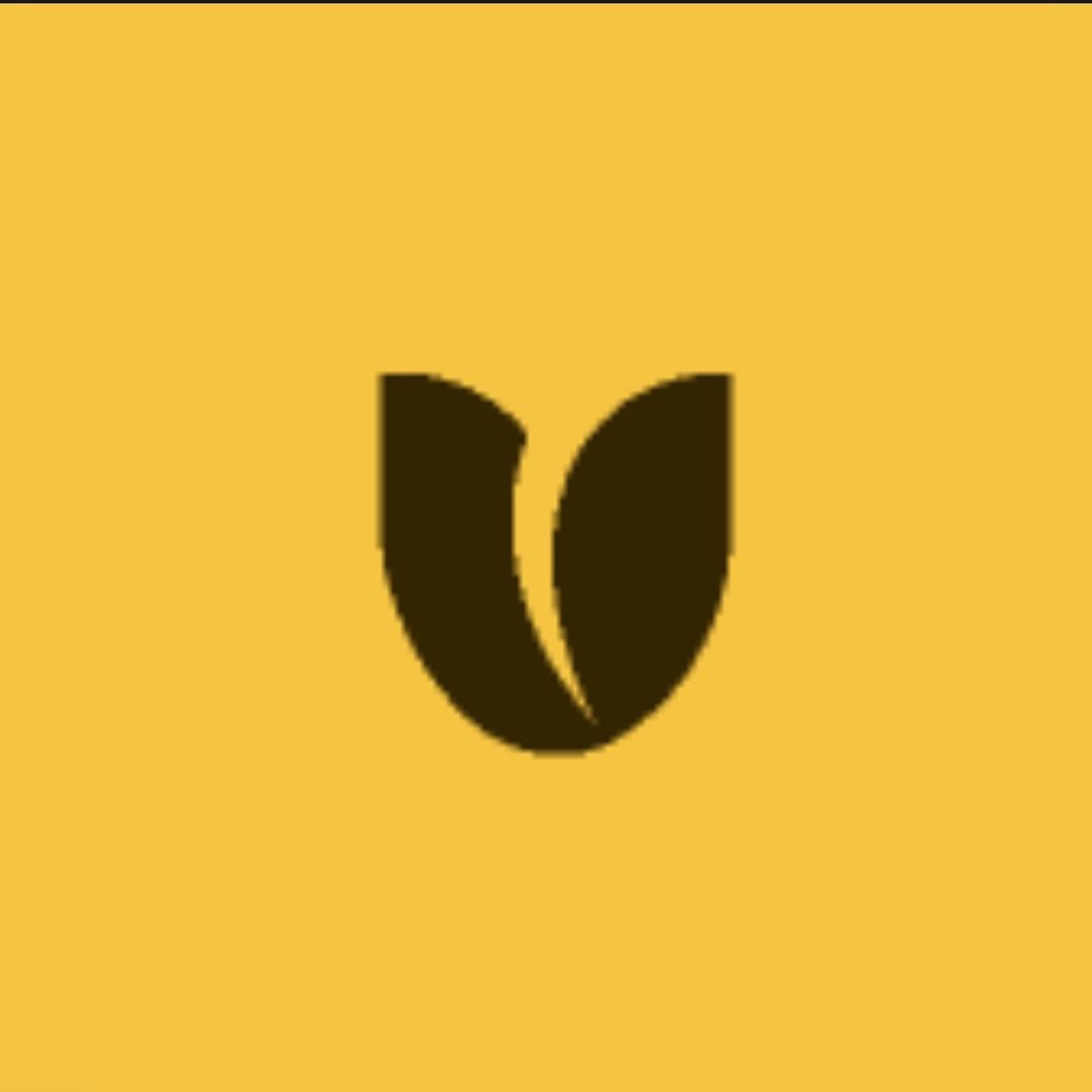 宸心儒意广告设计