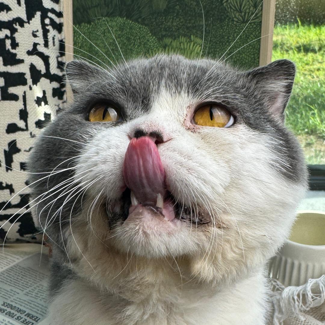 嘟嘟超级爱零食