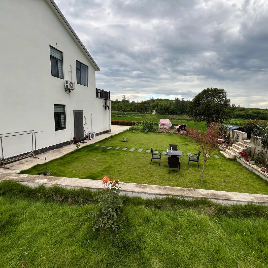 小周爱吃香菜和猪