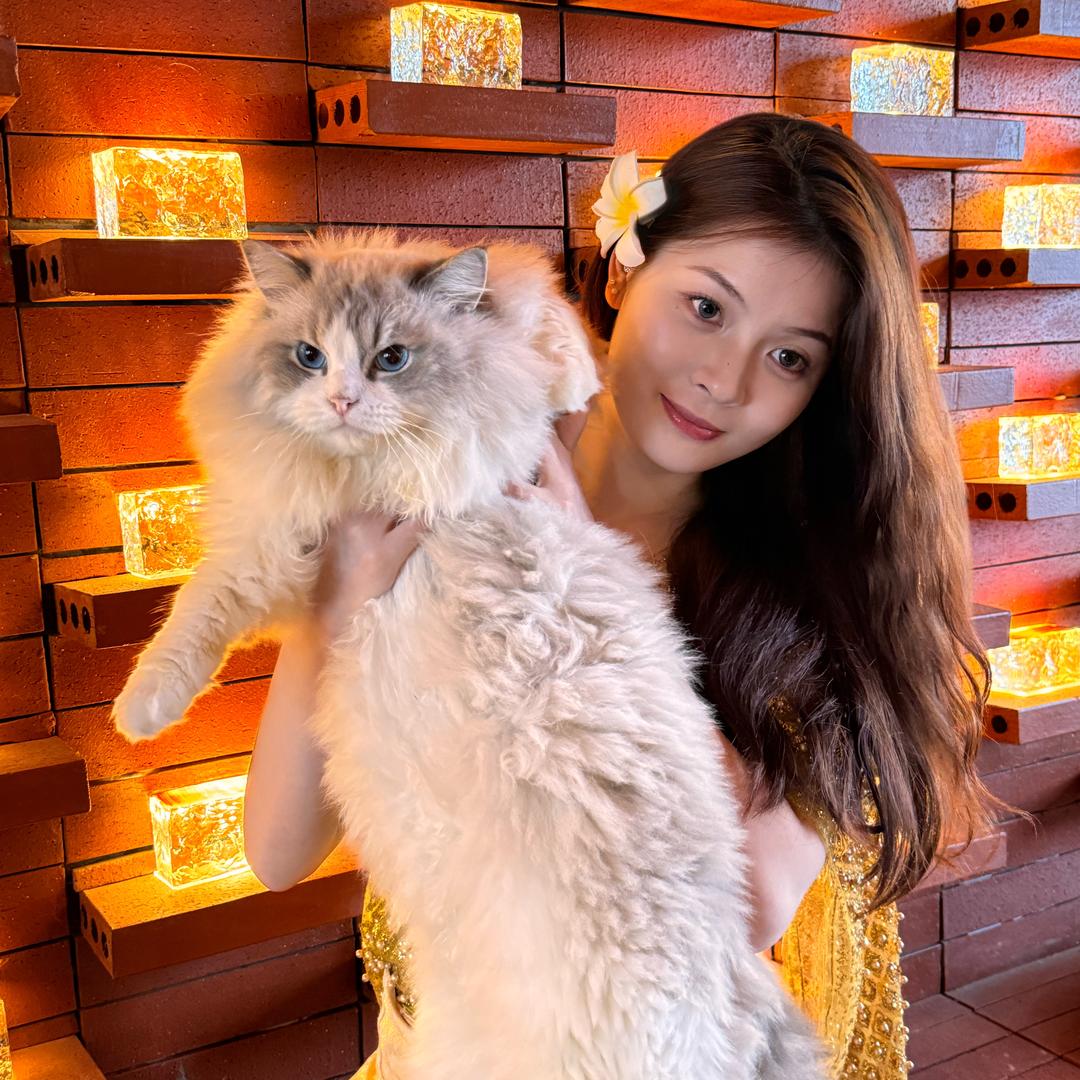 独角兽(努力暴富版