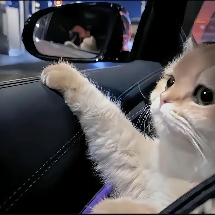 狂吃狂吃狂吃……
