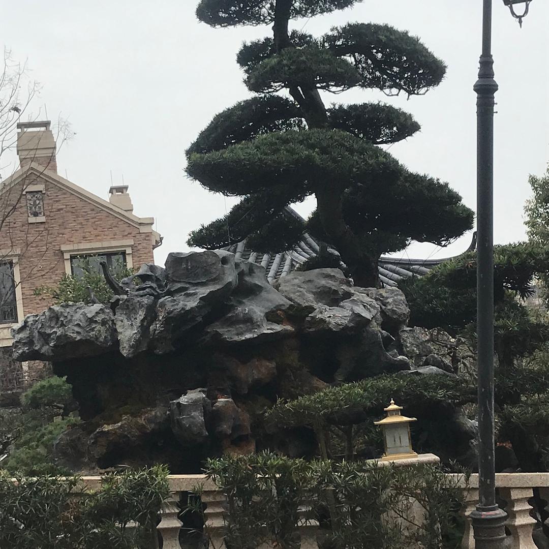 烈酒醉人