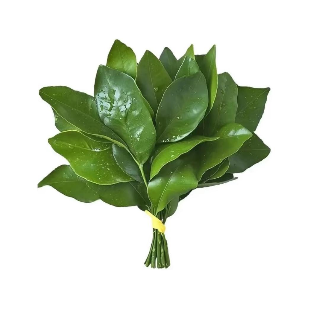 梨栗子