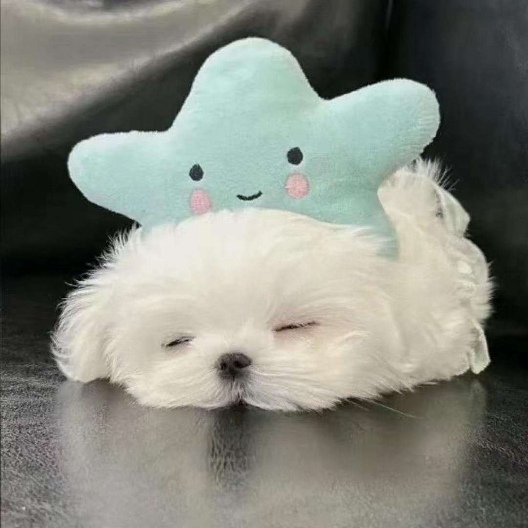 zzzzzlll