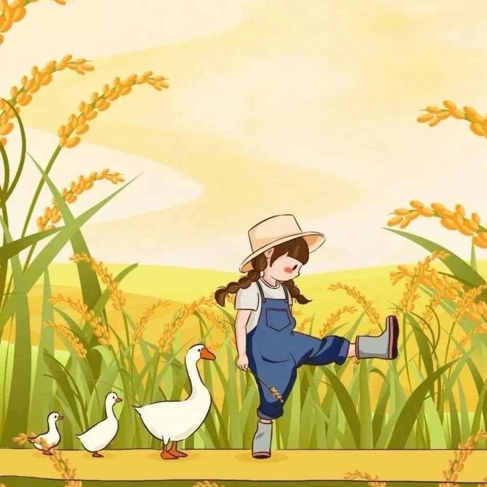麦穗小甜🌾