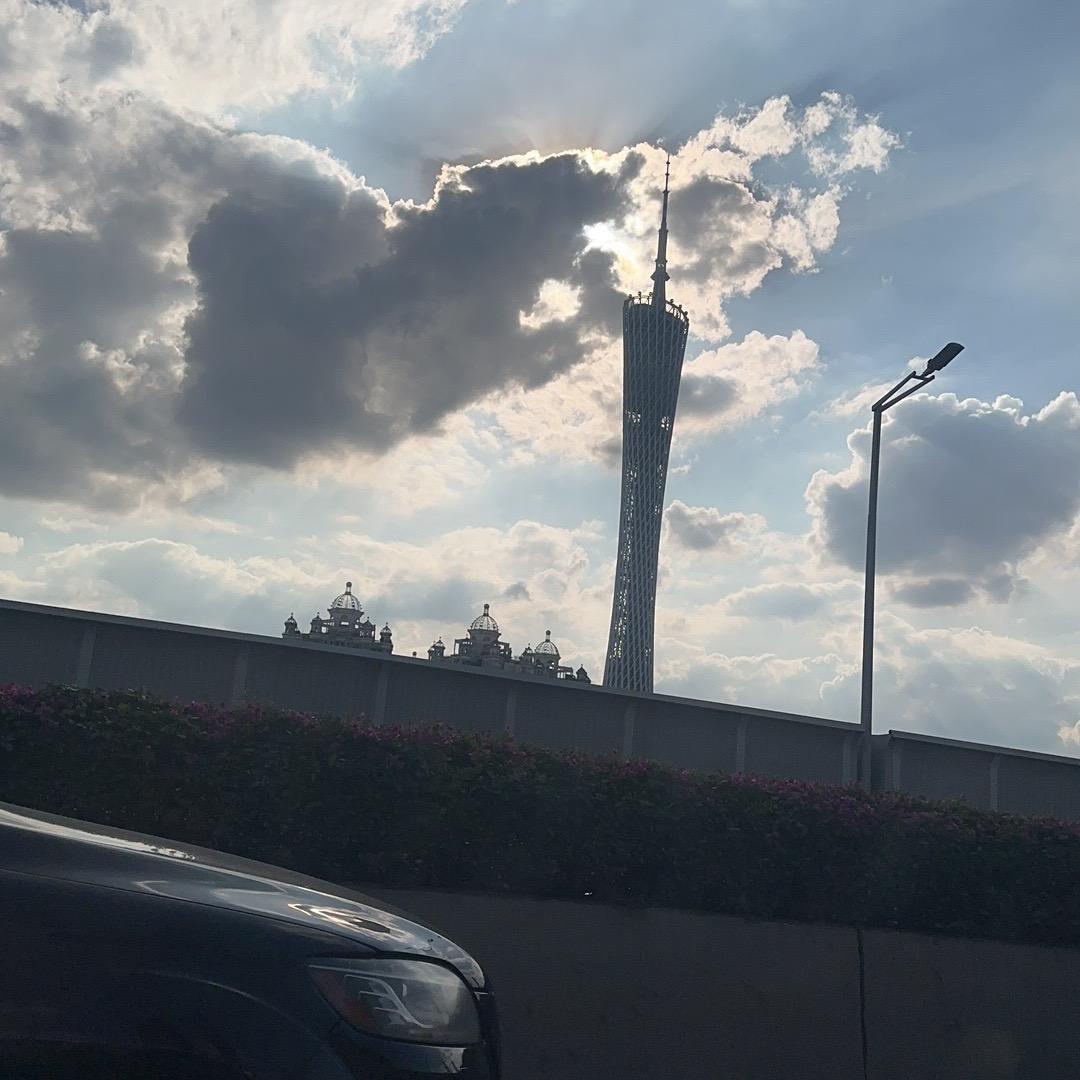 领带