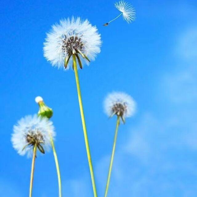 落汐✨
