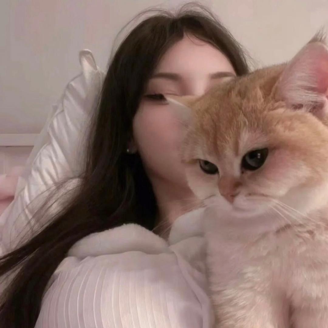 睡着了💤