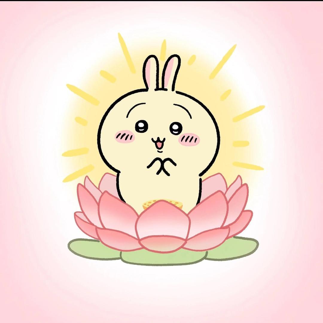 四六级好运小猫✨