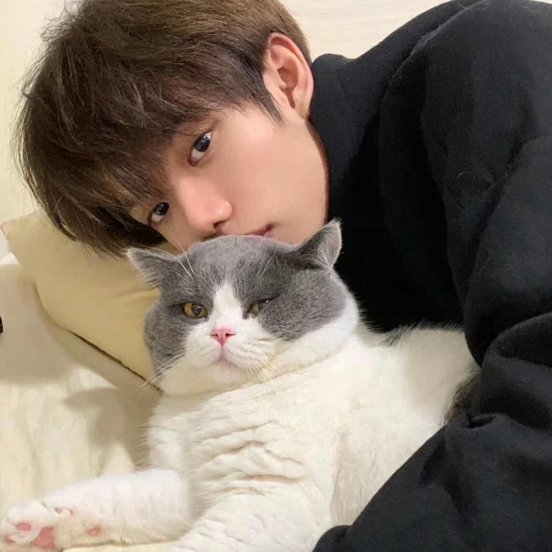 路遥知马力日久见人心