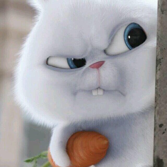 小陈大王