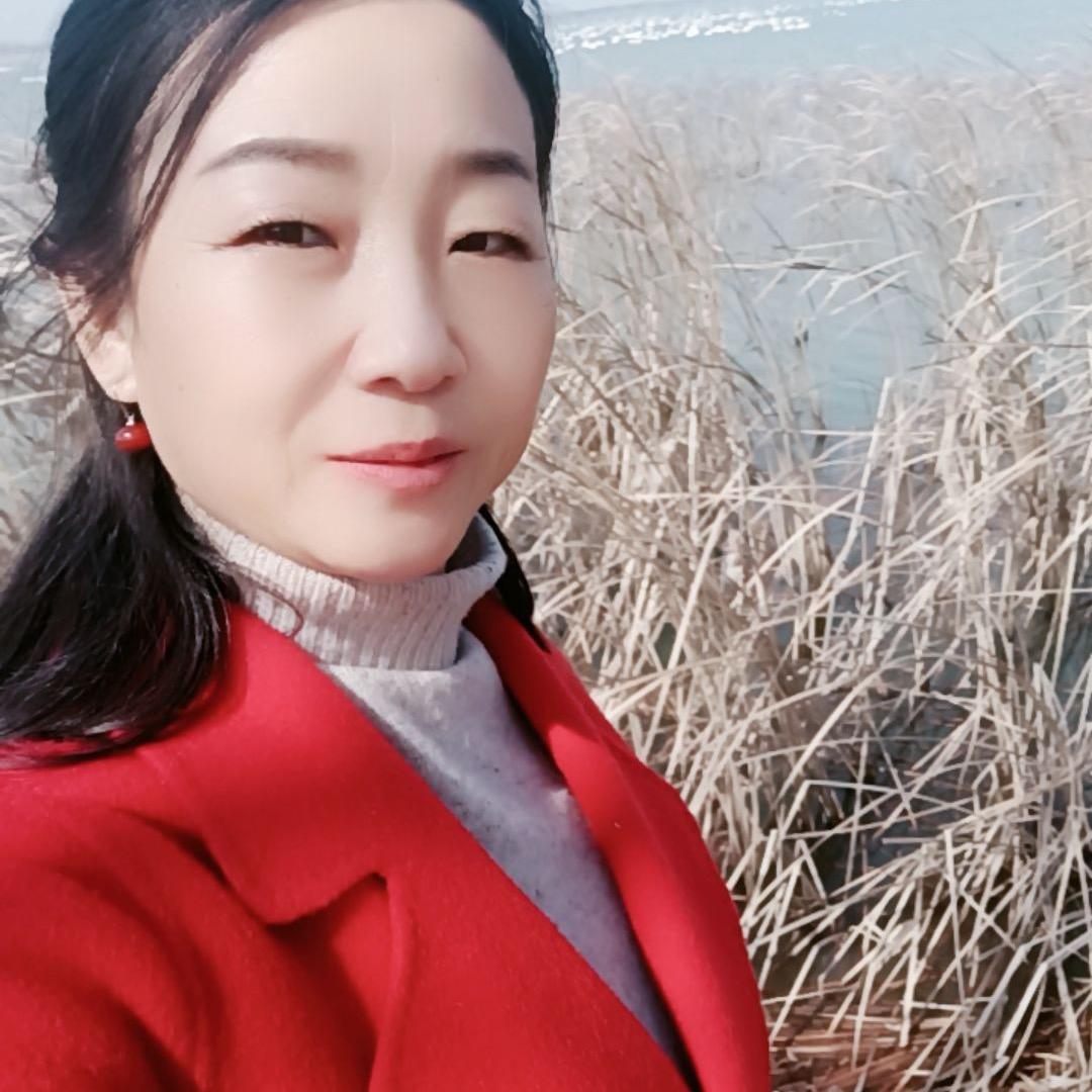 @淡雅如菊