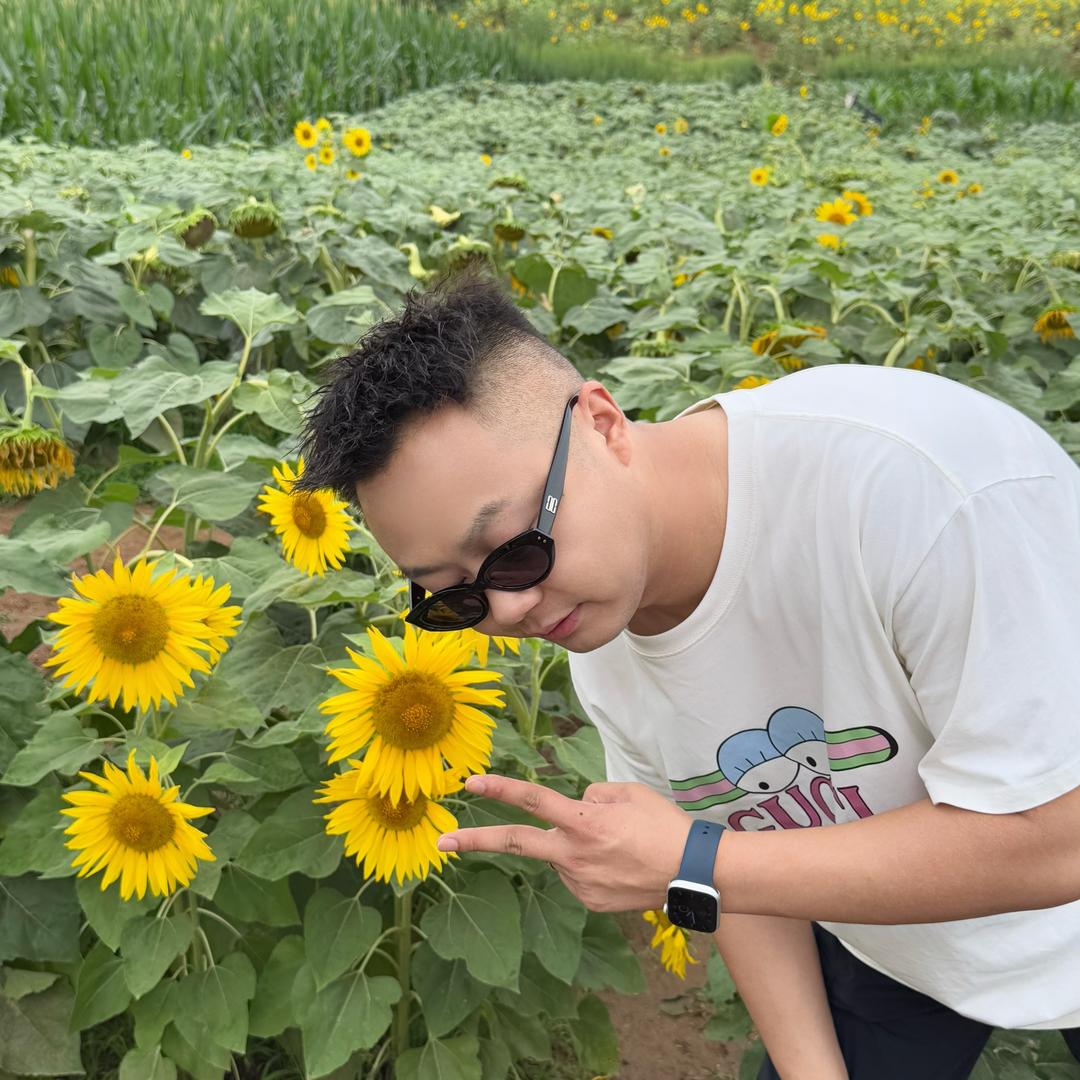 你好王Si