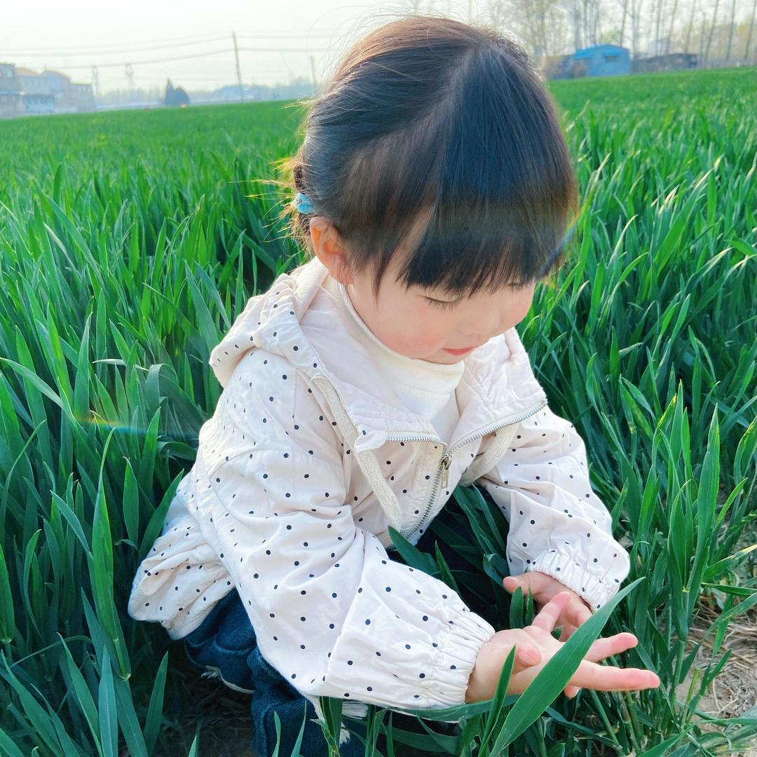 八九不离食