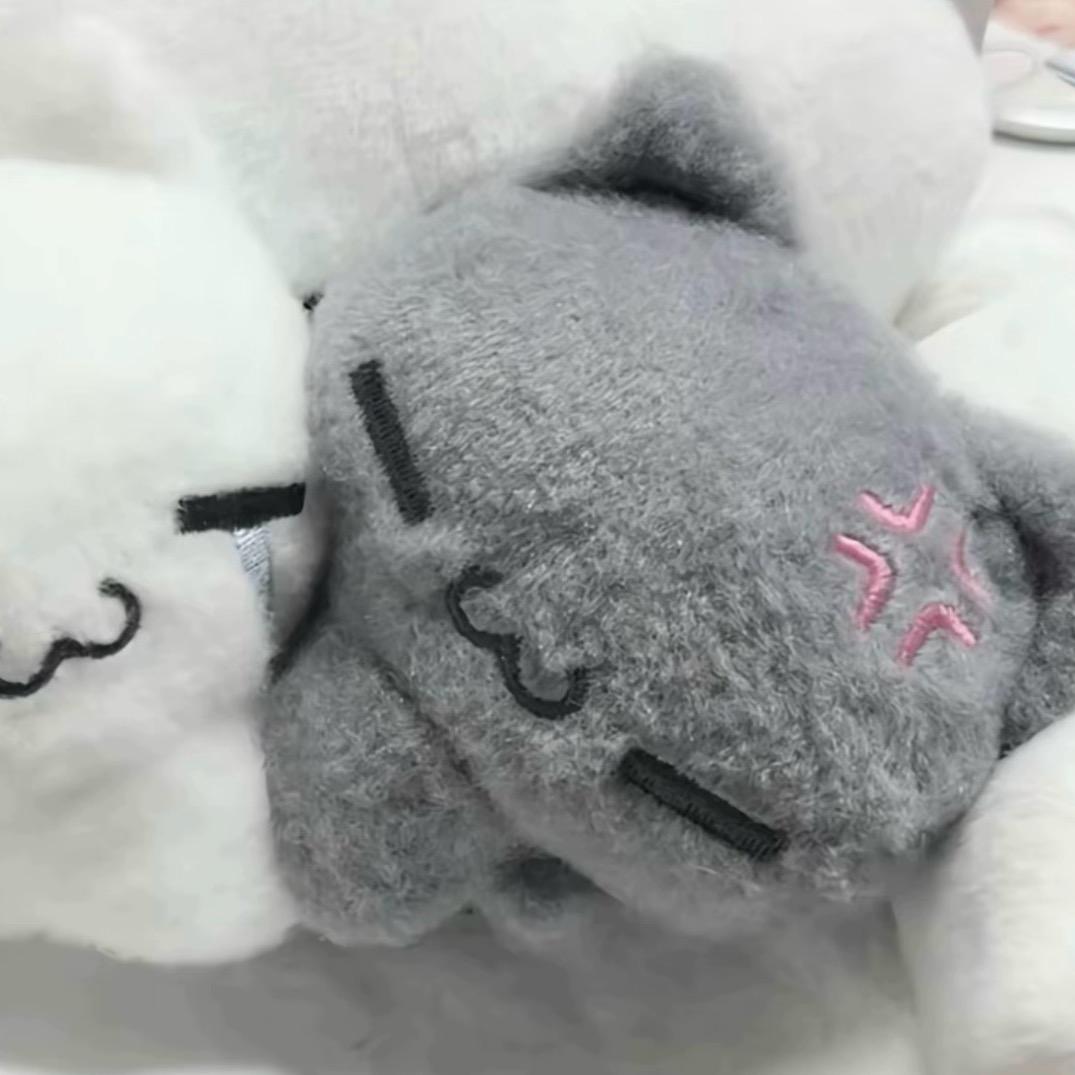 迷糊蛋