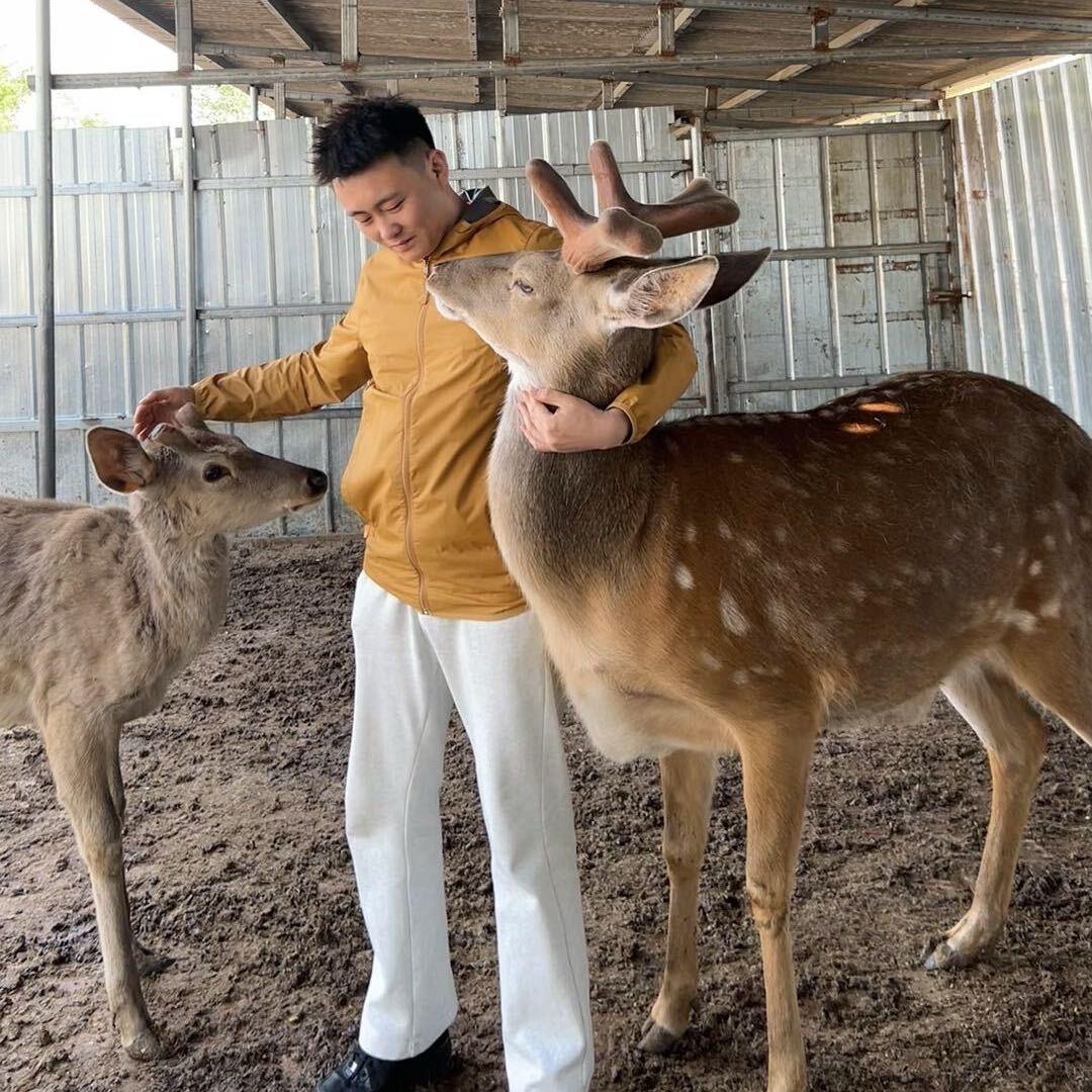 鸿星鹿业养殖基地