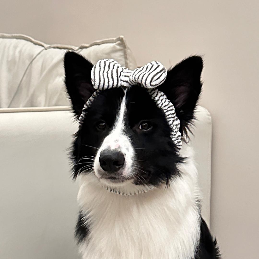 Boho