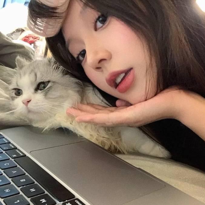 圆脸小鱼