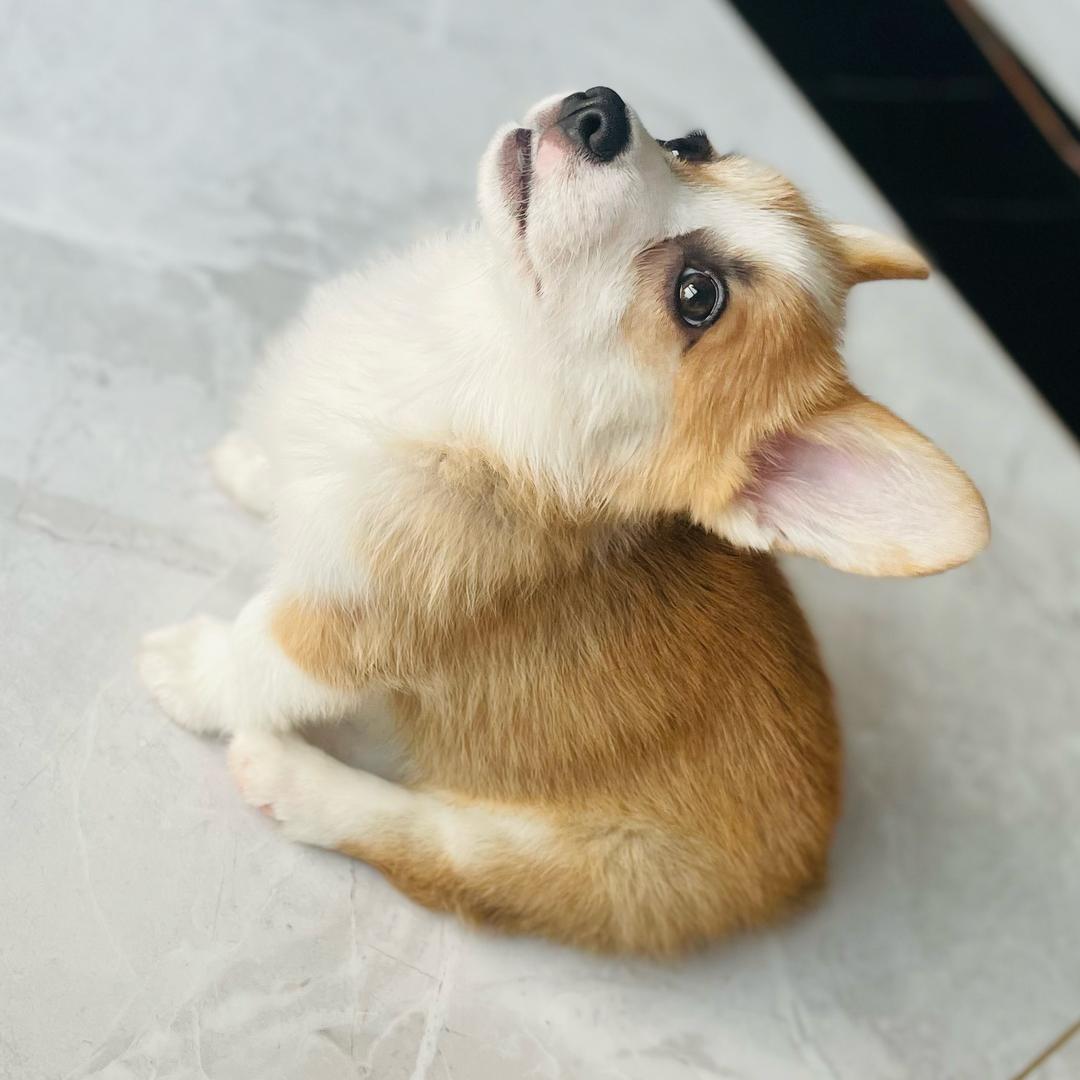 好运🍀