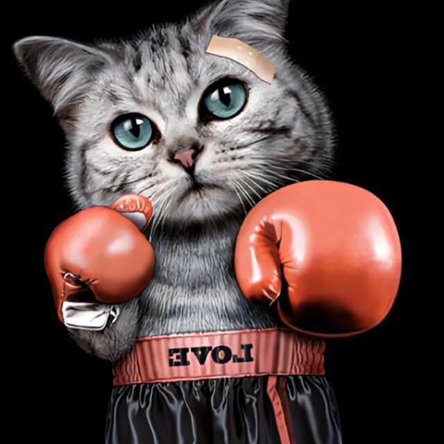 萌宠宝宝🐶🐶基地