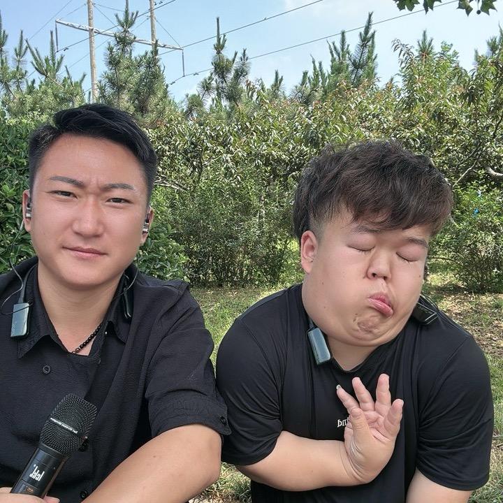卧龙与凤雏