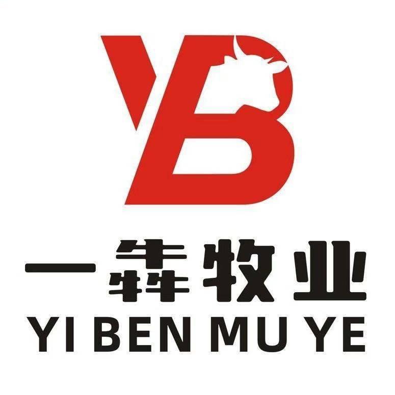 唐红梅