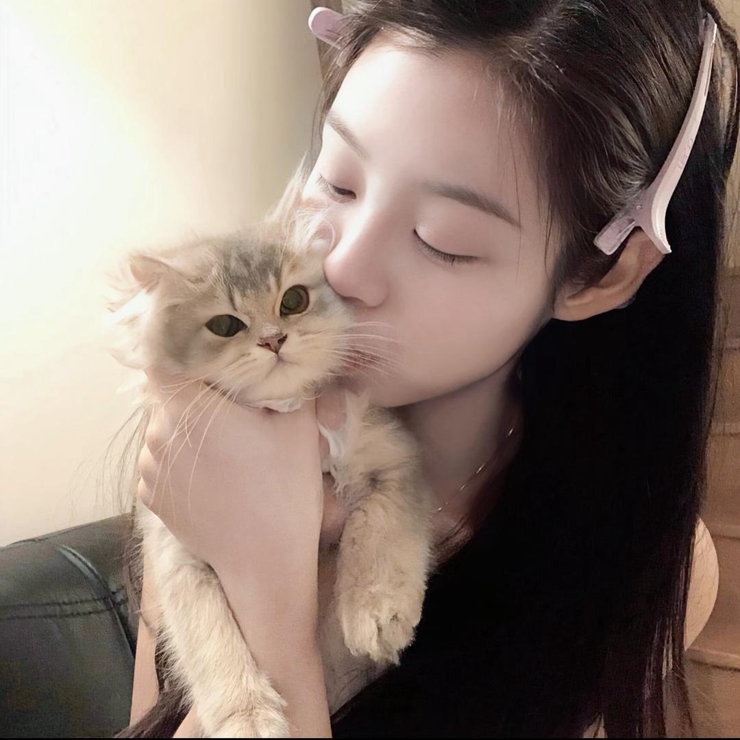 豆沙lou