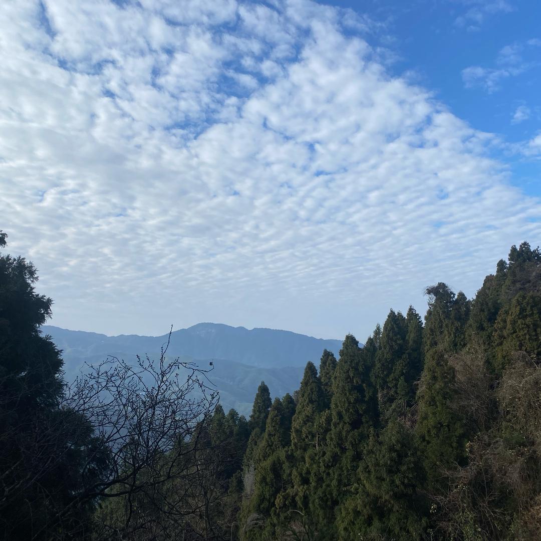 好物小客服