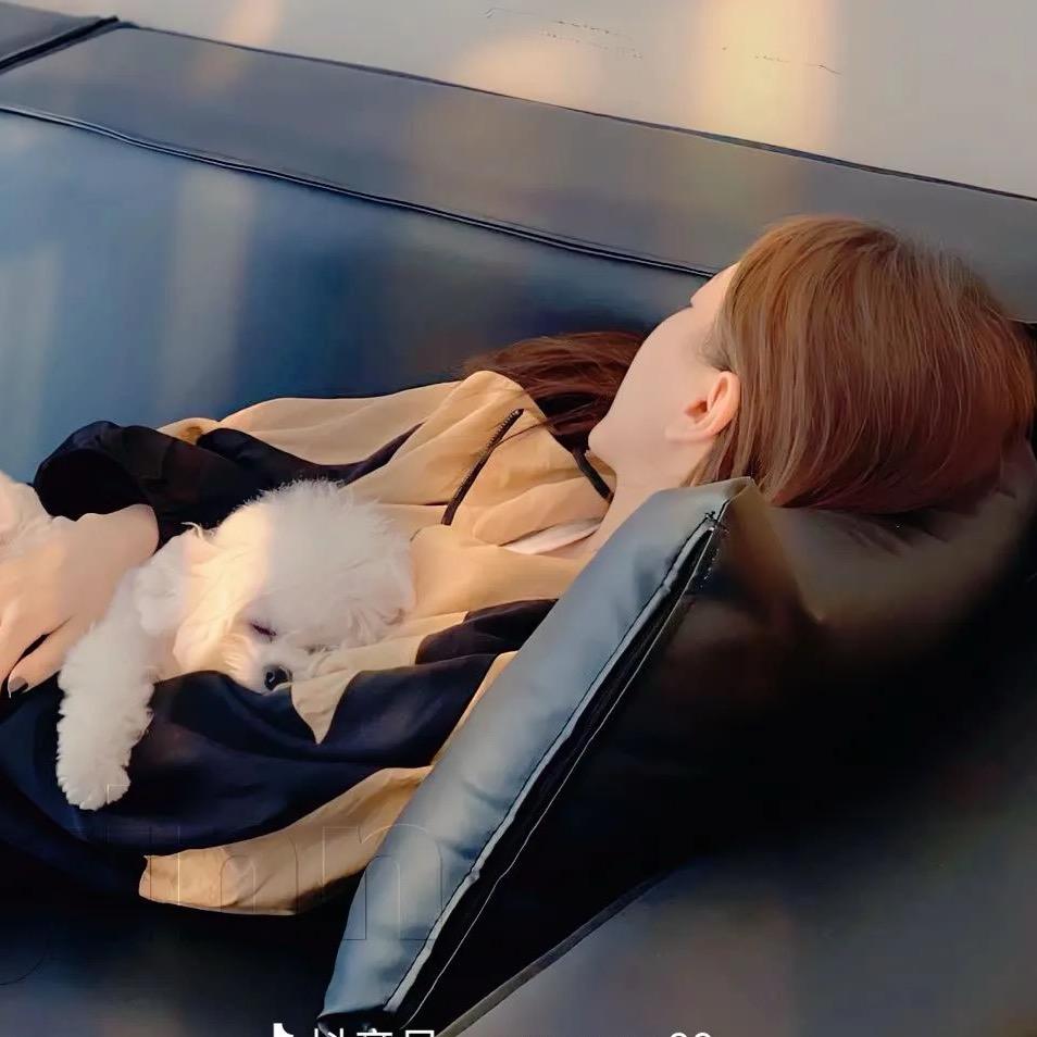 梦中的仙人掌🌵