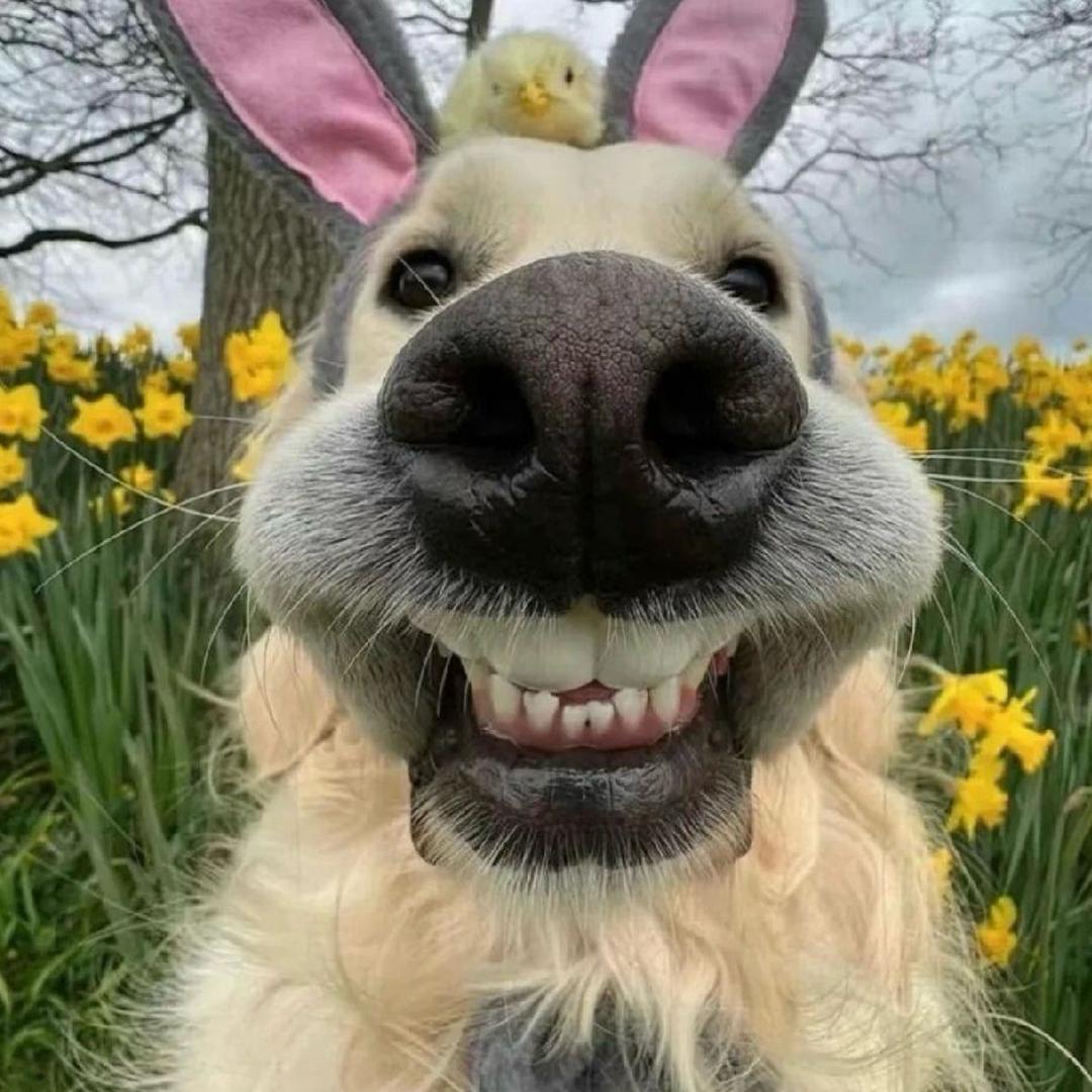 网恋被骗三格🔋