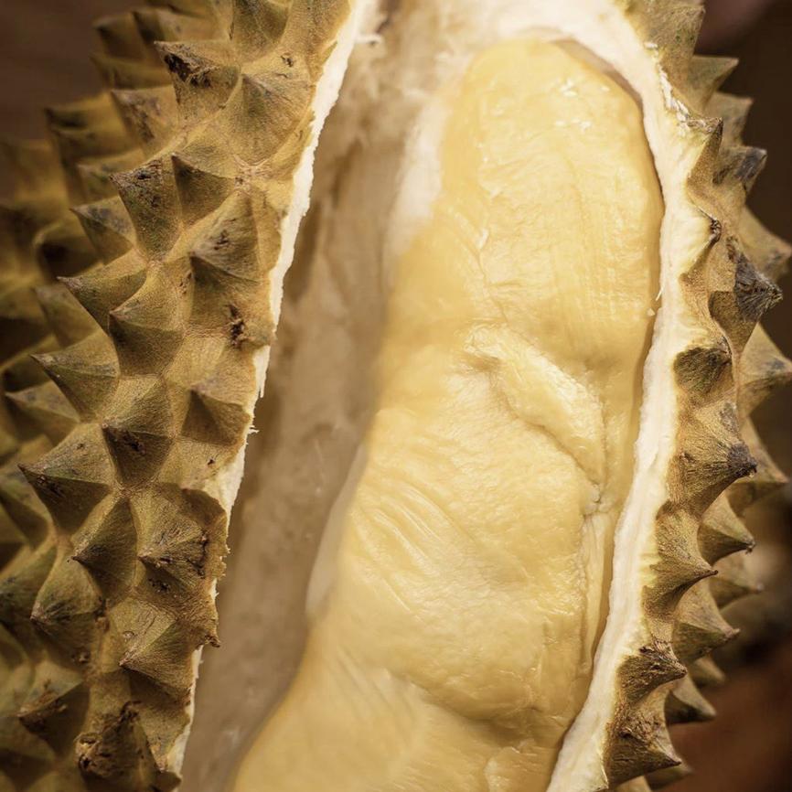 广西大宏森进出口贸易有限公司