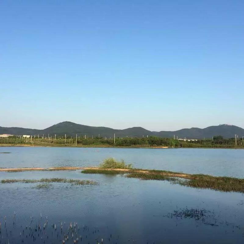 雨田