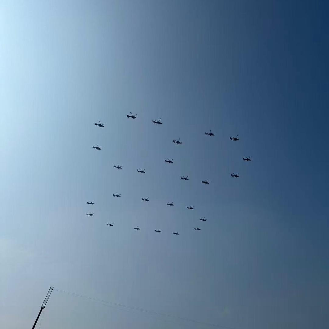 展翅高飞🎊
