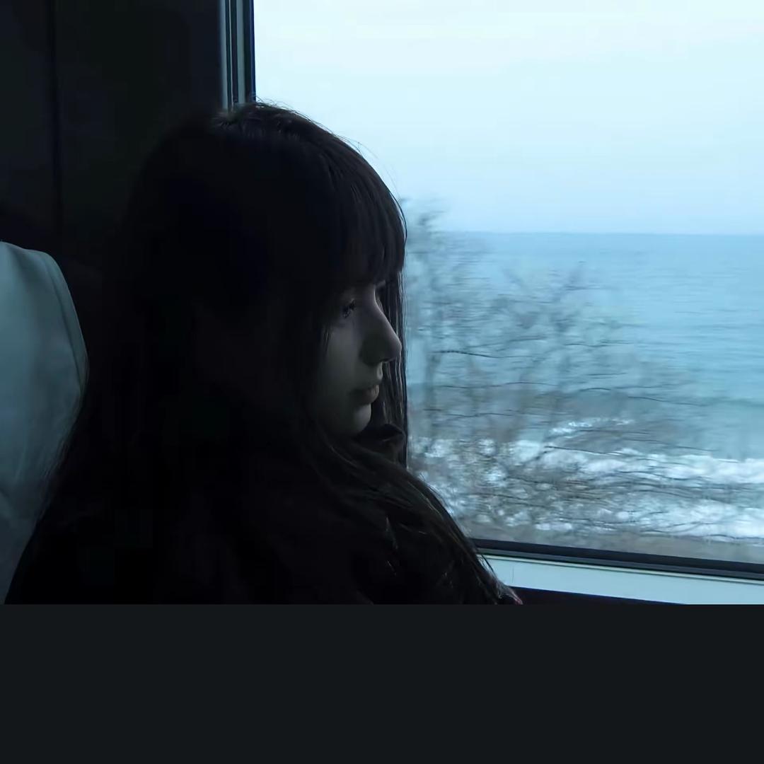 等月季开