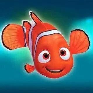 知鱼🐟