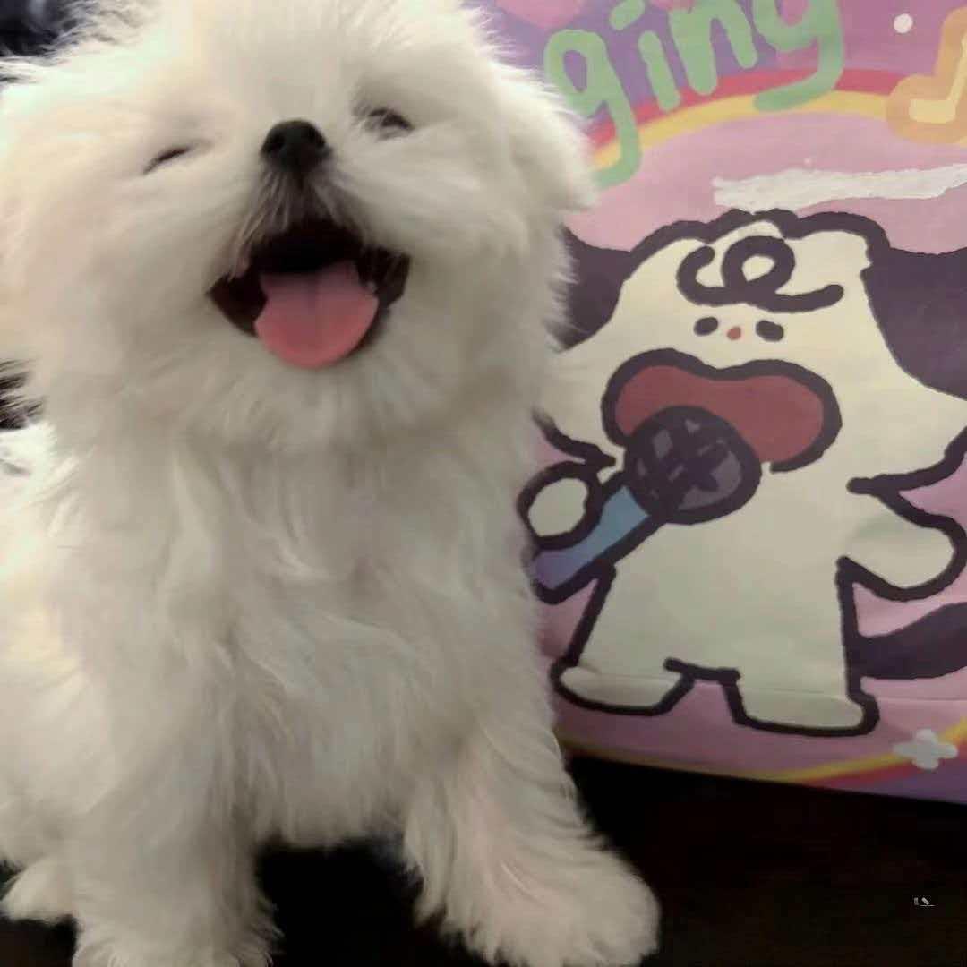 🌈贰俩魚