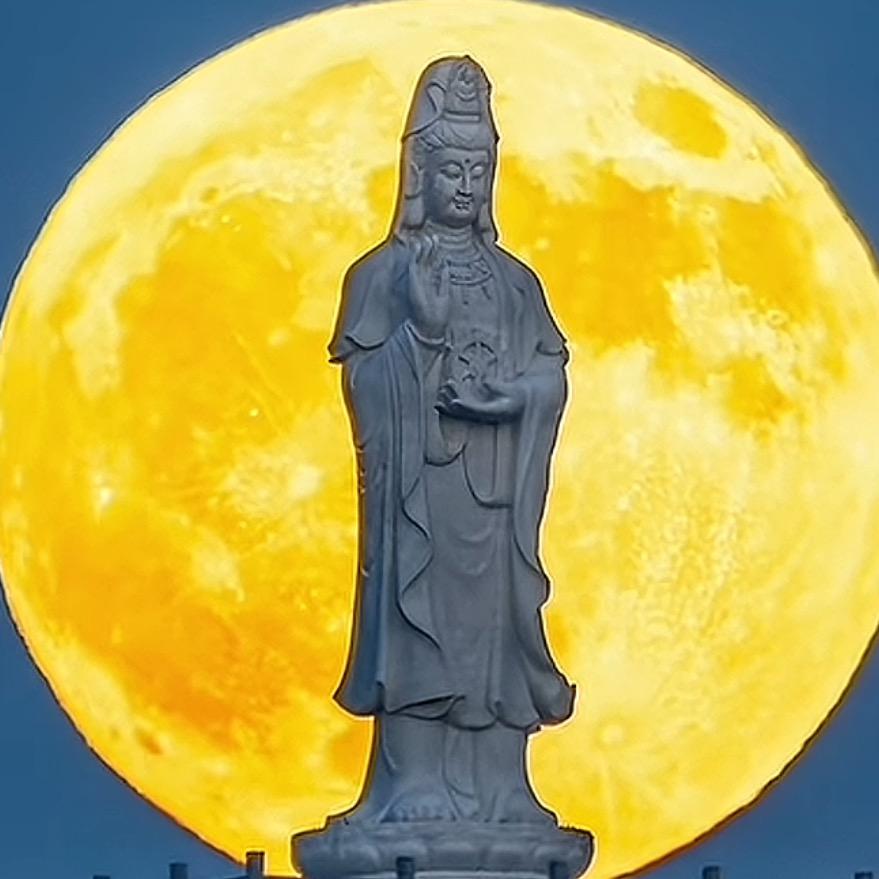 如此安好