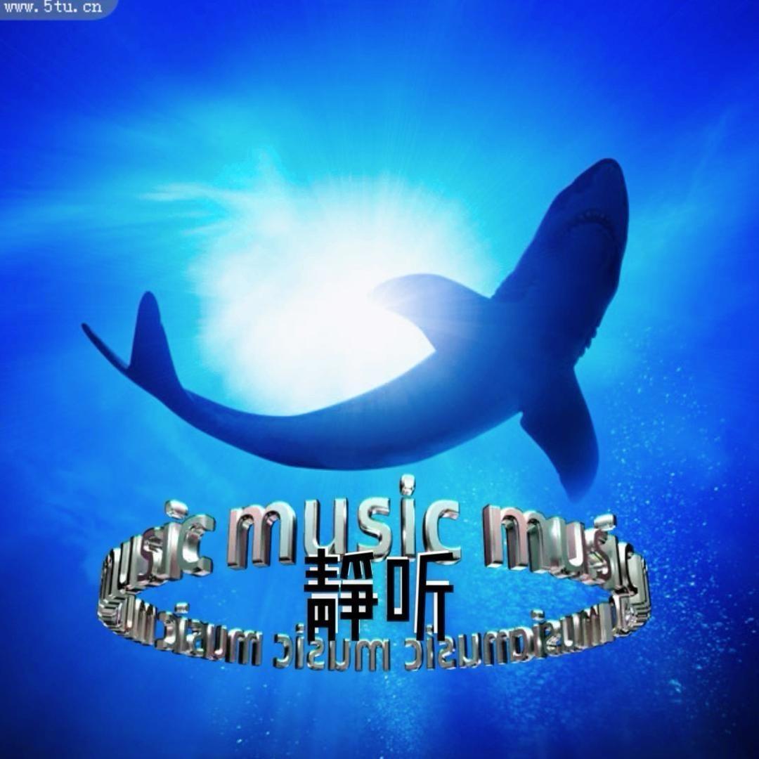 🎵静听