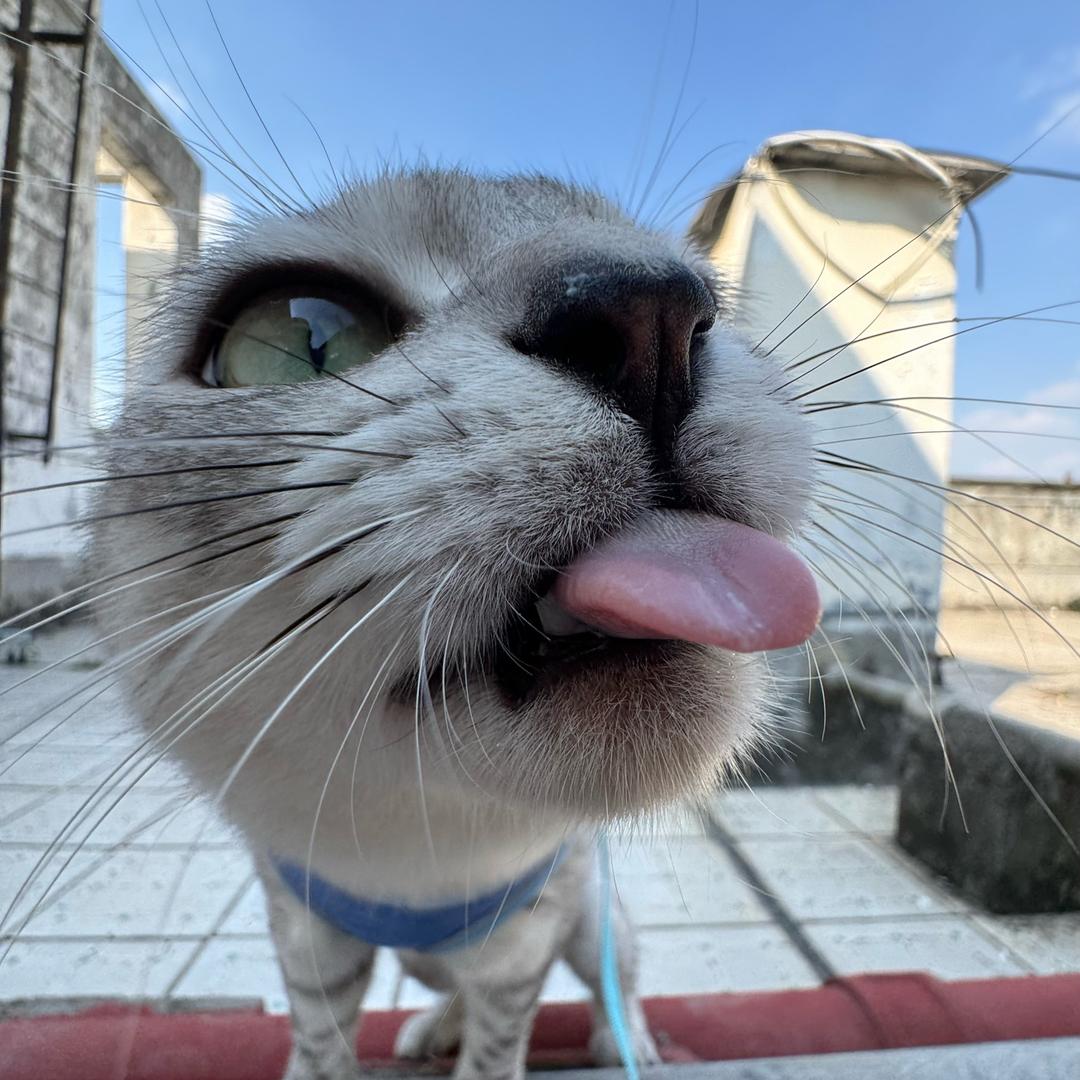 泡泡paopao