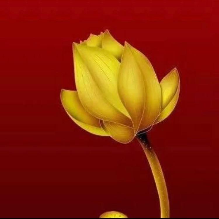 ぐ╰╮一人一世界╭╯