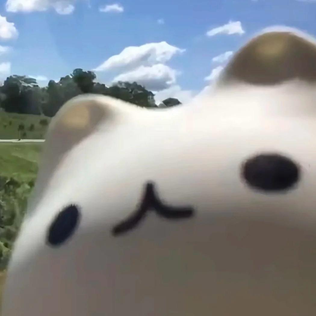 氏玉 福宝哈哈哈-宠粉号