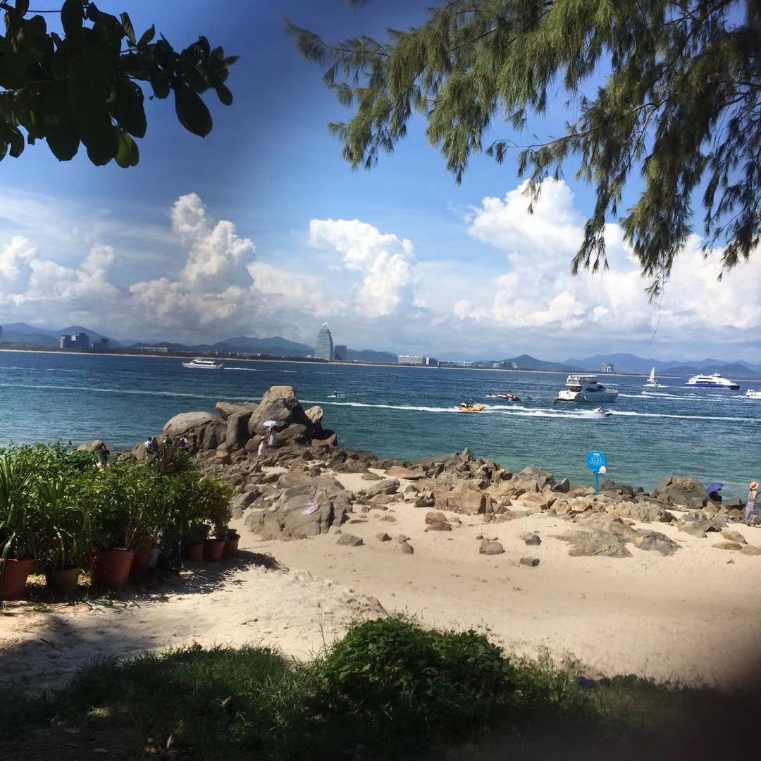 恒心贝贝觅野life