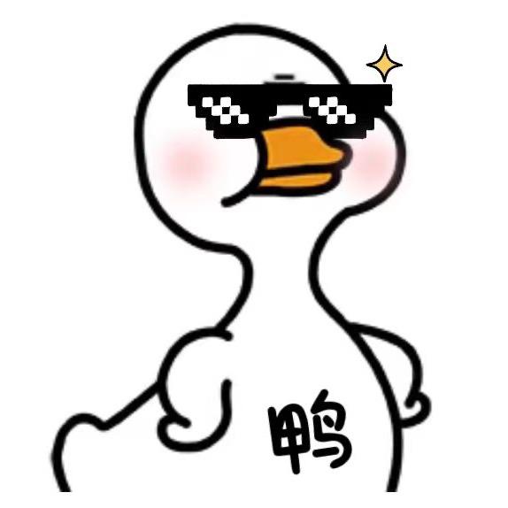 鸭鸭大事件