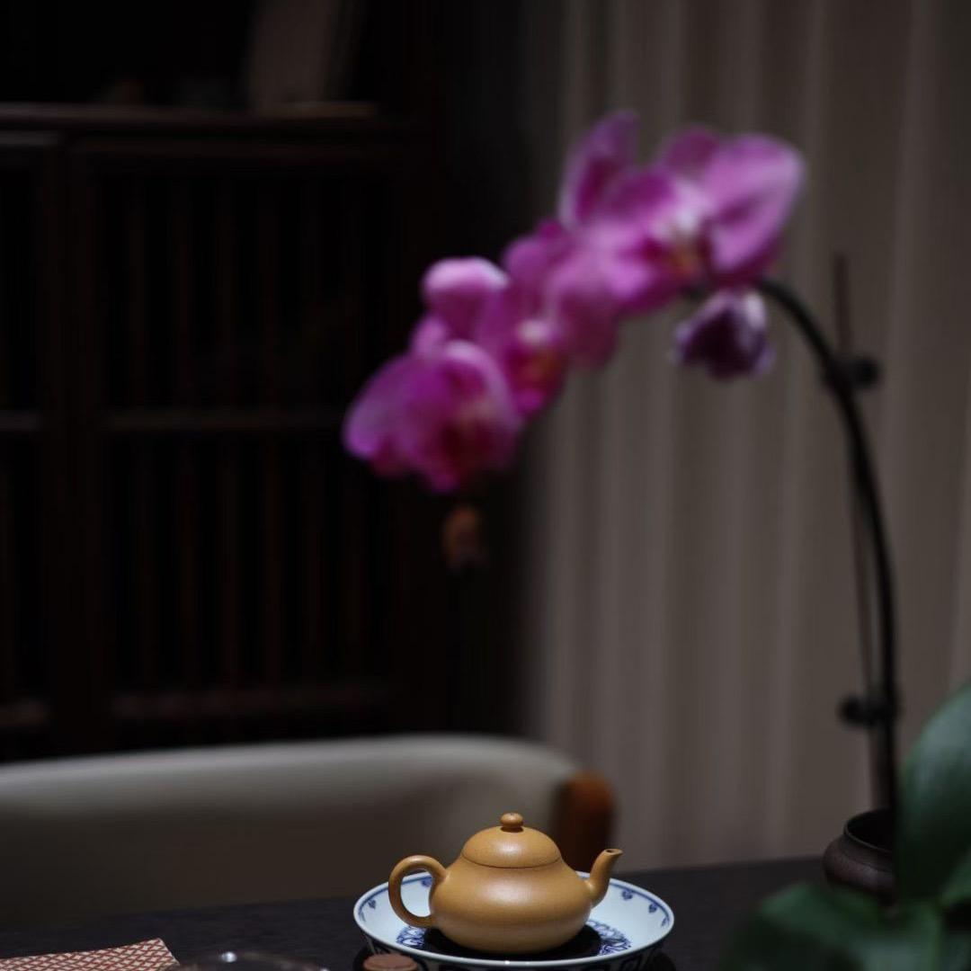 喜儿