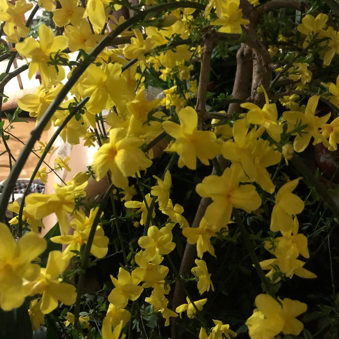 宝贝🦋ꦿ໊余生᭄🕊随心᭄ꦿᩚ٭