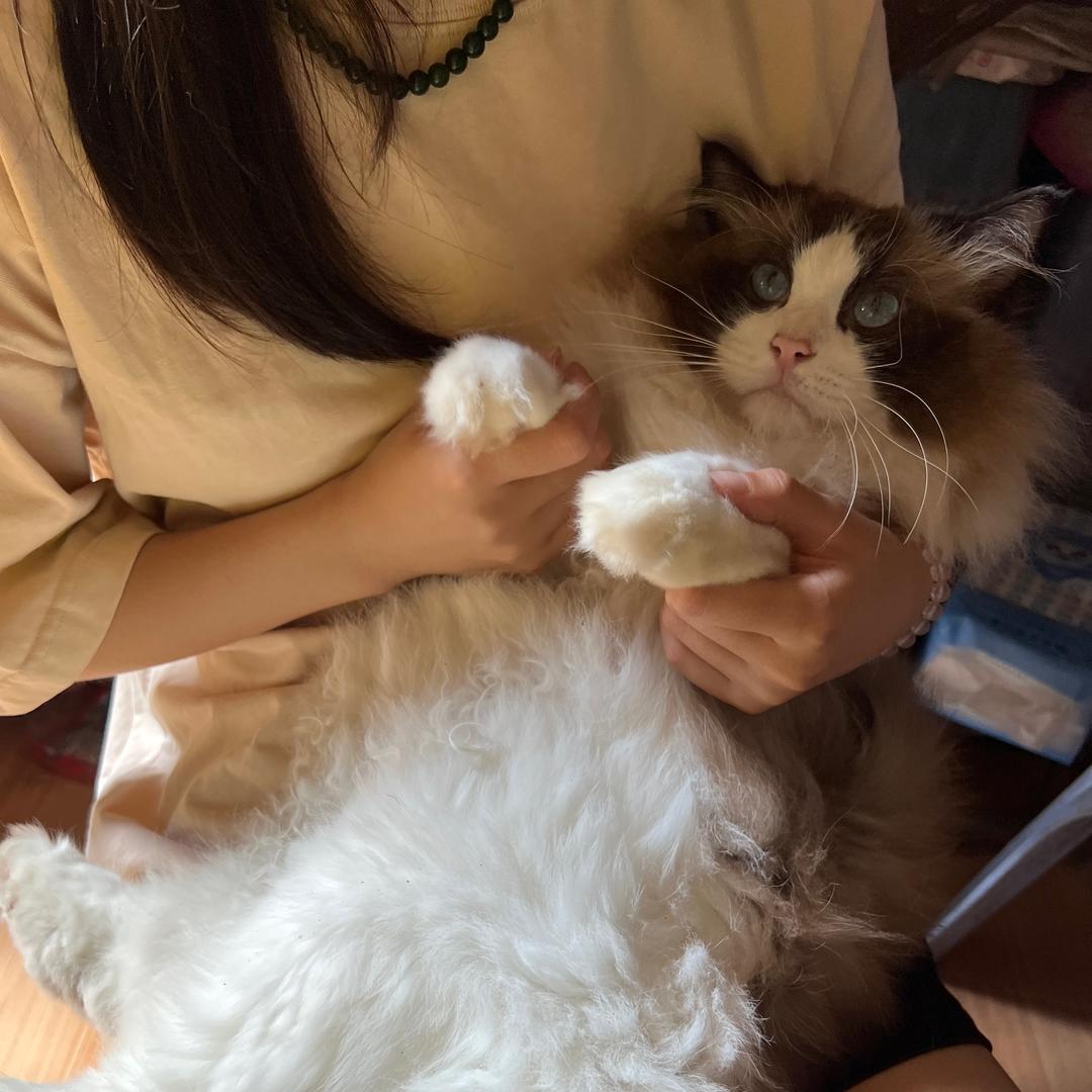 小·⚇·