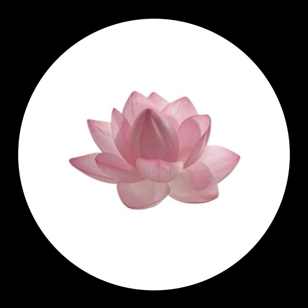 𓆡小師妹
