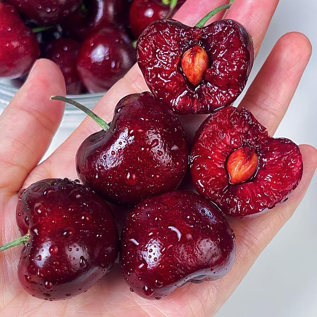 智利车厘子上海中心仓🍒